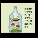 蒋宵